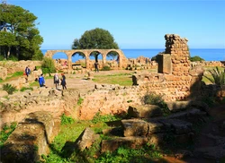 地中海守护神的神秘眷属：一个古老传说的现代解读