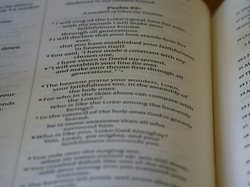 盯着那个该死的关键词列表，我竟然忘了怎么写东西