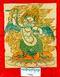 太平洋金翅大鹏：天空中的神秘旅行者