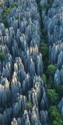 消失的日记：沙漠石林与重复走廊的秘密旅程