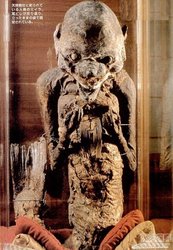 深海中的神秘“木乃伊”—自然界的奇妙防腐术