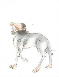 神农架夜行饕餮：自然之谜背后的科学真相