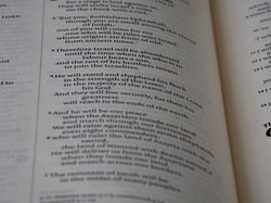 关键词列表：我这些年摸爬滚打的总结