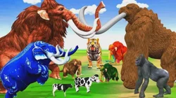 我家楼下那只猫，彻底疯了！