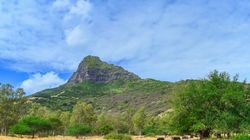 毛里求斯的绿色奇迹：特斯拉的首次海外本土化尝试？