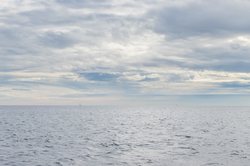 航行在太平洋的神秘生物：海龙的奇幻旅程