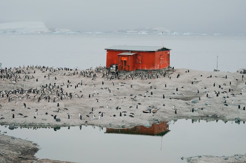 南极的秘密·一场跨越千年的土元素传说 南极的秘密·一场跨越千年的土元素传说