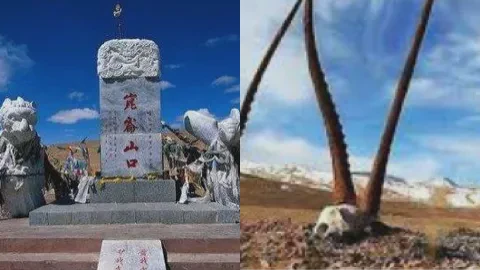 昆仑山夜行的惊魂一瞥|那些诡异的脚印残影 昆仑山夜行的惊魂一瞥|那些诡异的脚印残影