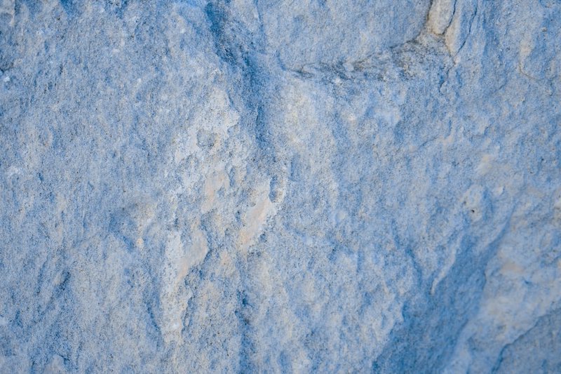 冰川下的神秘火蜥｜探秘极地世界的生命奇迹