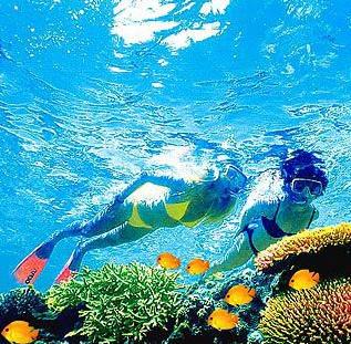 探秘大堡礁—一场与海洋生命的亲密邂逅