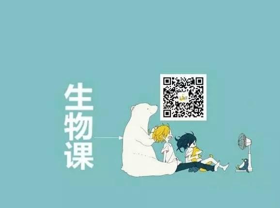 初次的勇气丨在月光下的秘密花园