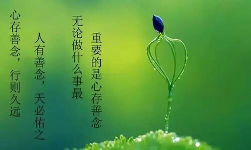 童养媳的春天—小花的故事