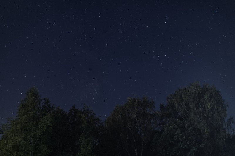高加索雷元素夜行—大自然的神秘夜巡者