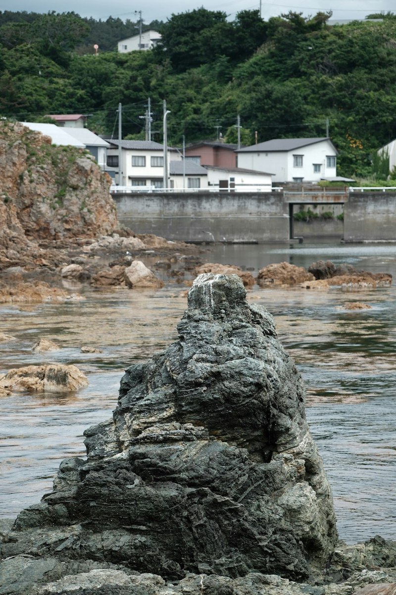 日本海神秘目击事件背后的真相？