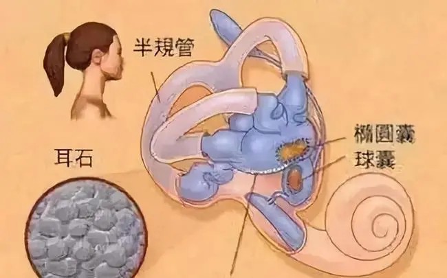 我为什么相信耳语磁性石能让我安静下来? 我为什么相信耳语磁性石能让我安静下来?