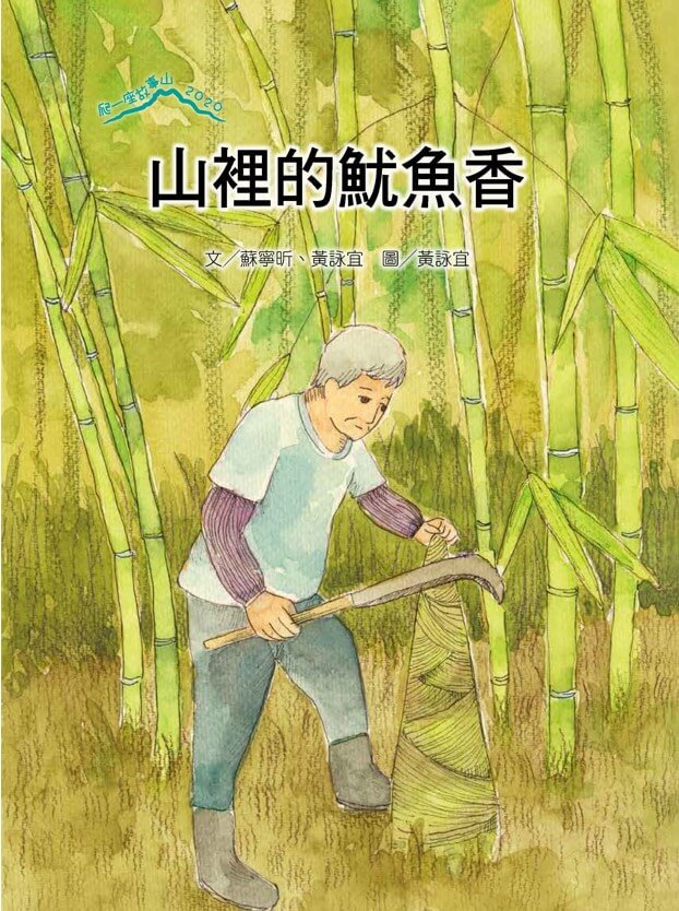 文竹在窗台上的春天…