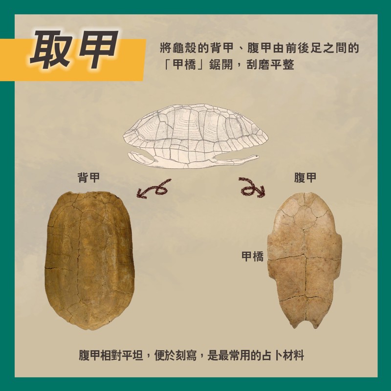 你以为的“占卜”？北欧巨龟其实藏着宇宙密码！