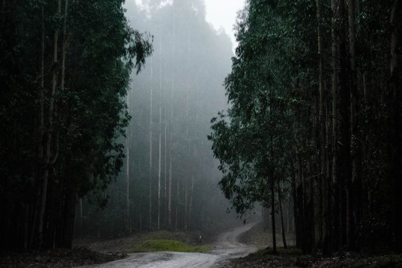 喜马拉雅深处,一场没人记录的血雨? 喜马拉雅深处,一场没人记录的血雨?