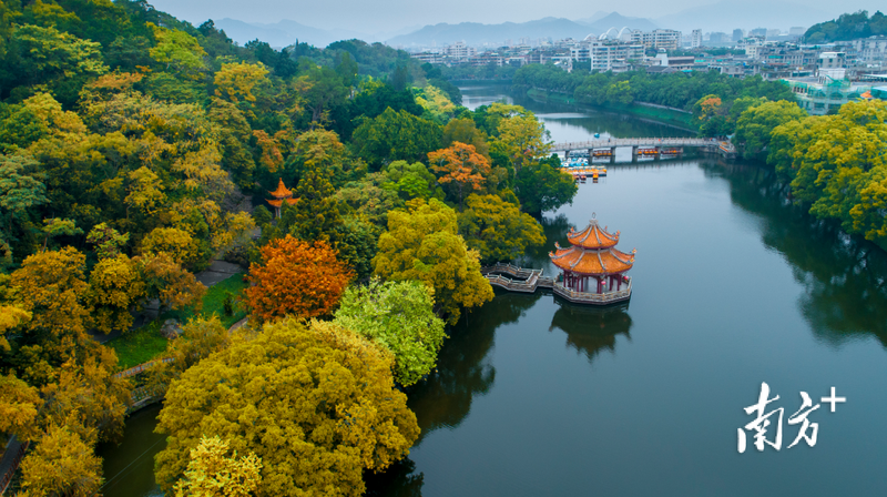 在时间倒流的废墟里，我们用火来烧灼指纹！