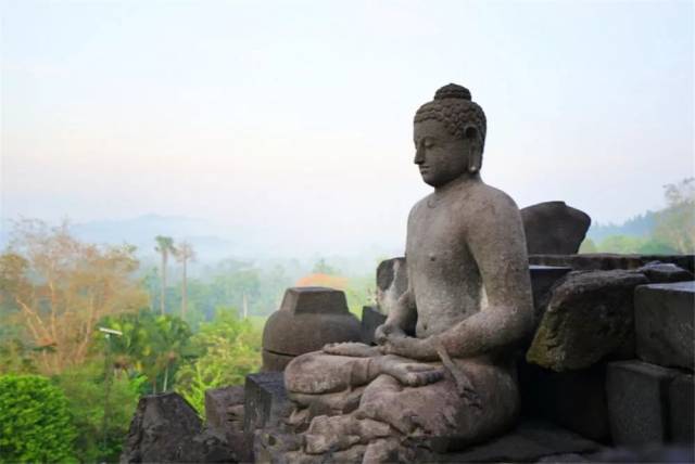 金字塔顶端的幻觉丨群体心理的双环印