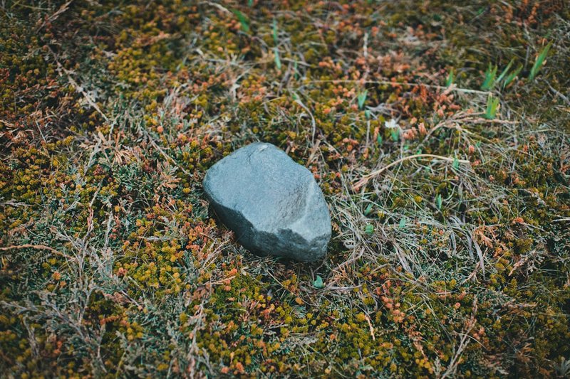 石像鬼日行丨夜空中最神秘的天文现象