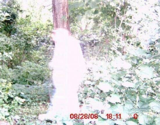 瓦努阿图天空的异象—一场震撼人心的目击事件