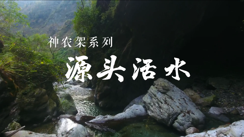 神农架深处的神秘绿光—一场穿越时空的探索 神农架深处的神秘绿光—一场穿越时空的探索