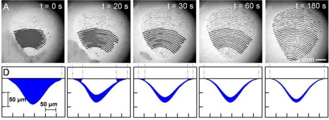 绿光烧灼指纹|探索未来科技的惊险边缘 绿光烧灼指纹|探索未来科技的惊险边缘