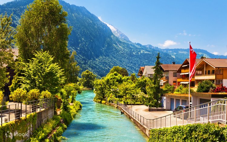 阿尔卑斯山的“雪崩预警员”｜狐狸真的能预言灾难吗？