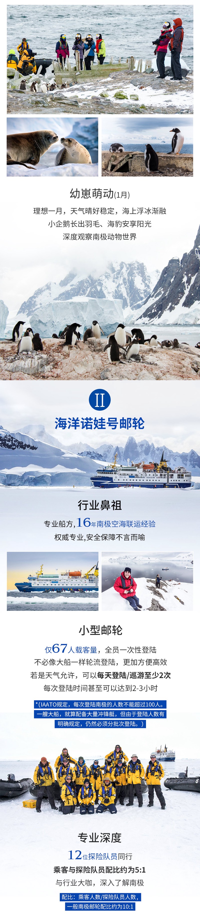 南极真的有“水马”吗？科学家揭秘这个令人着迷的海洋谜团？