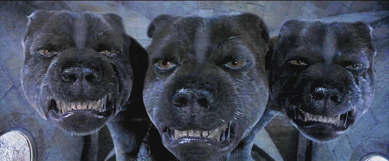 冰川雨林三头犬？科学家发现地球上的“三头生物”其实是个误会…