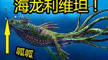 海龙火山喷发丨地球深处的“怒吼”，一场关于地壳与火焰的舞蹈