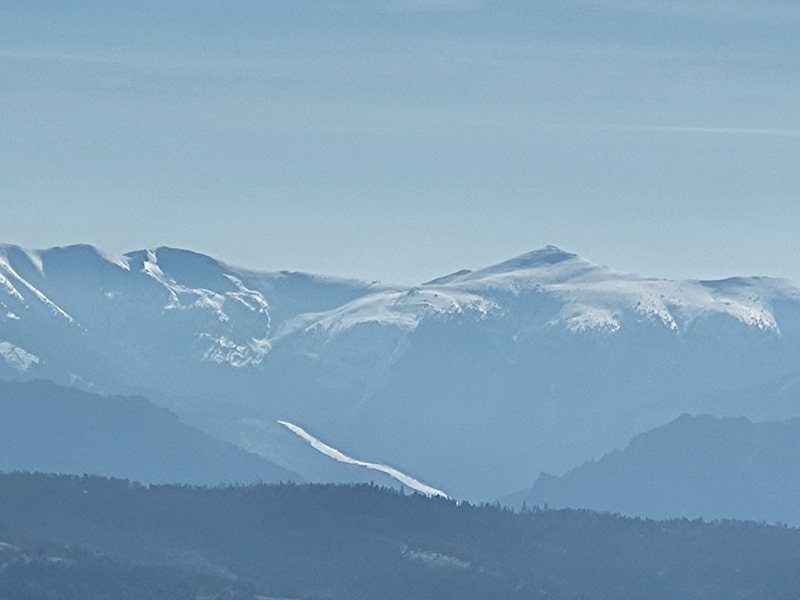 阿尔卑斯时间线分支报告丨我在山里开了三场不同的会