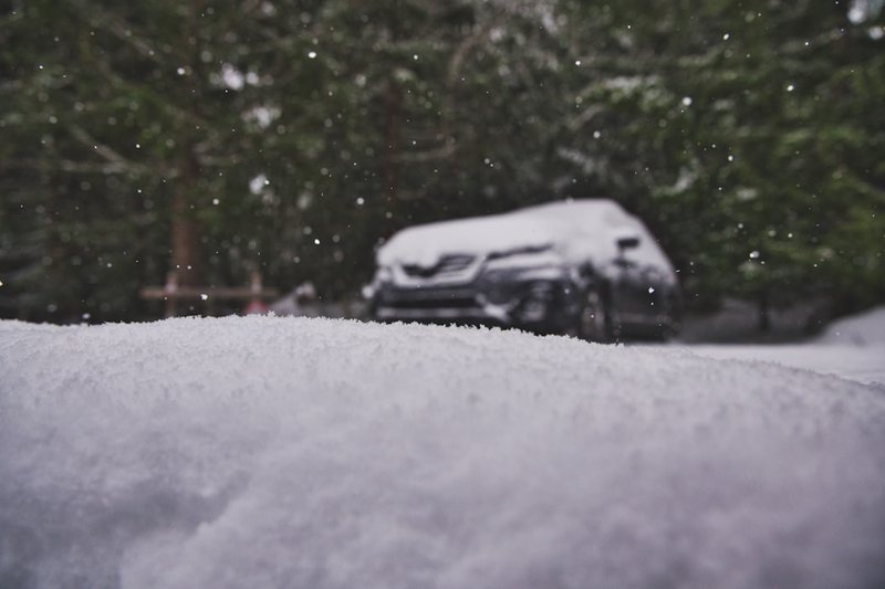 雪地里的神秘谜团｜揭开雪怪传说的科学面纱