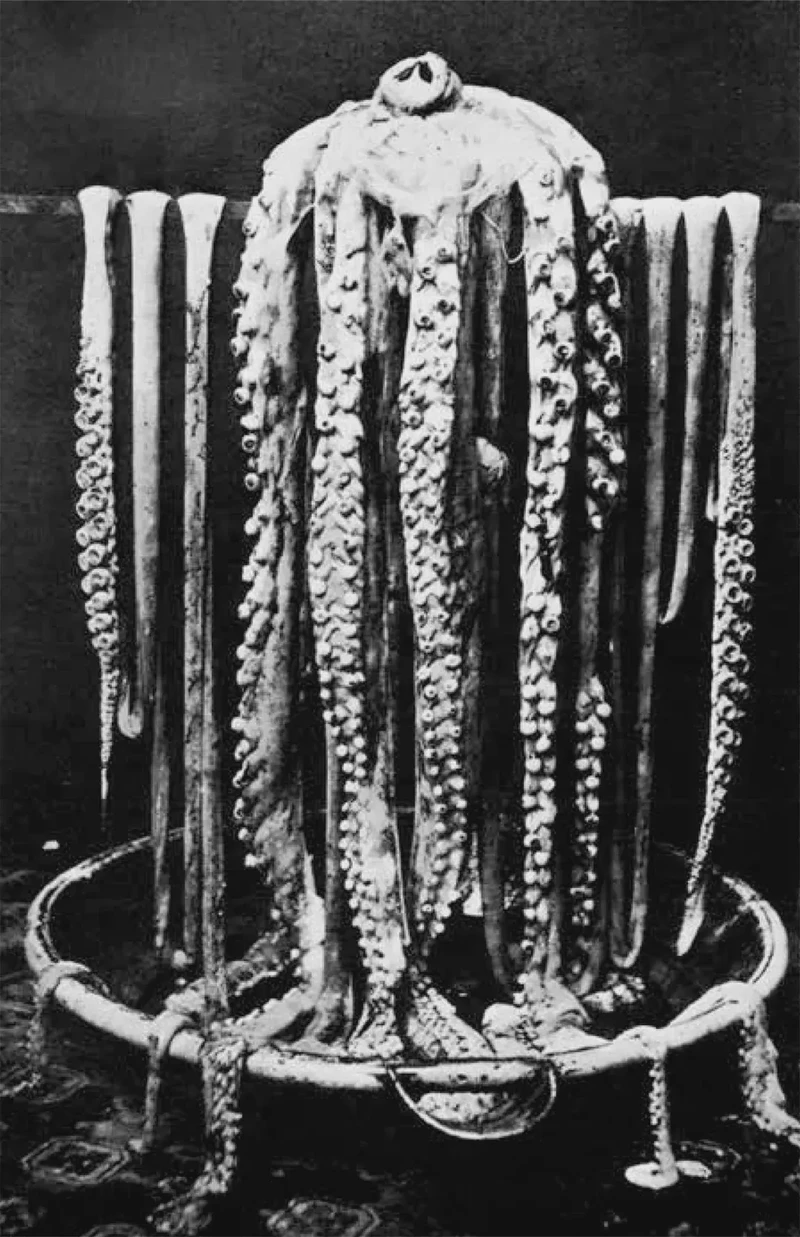 你见过“西方克拉肯黑暗”吗？原来海底藏着一座会“呼吸”的巨大深渊！