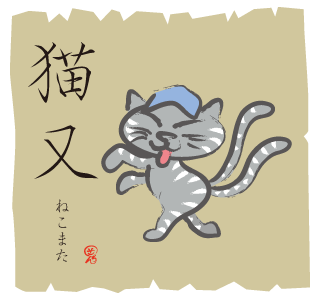 雨林中的猫妖丨日行线背后的神秘与浪漫