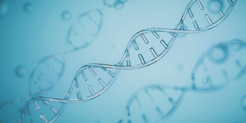 博茨瓦纳的沙尘里藏着什么？聊聊最近疯传的“DNA激活”！