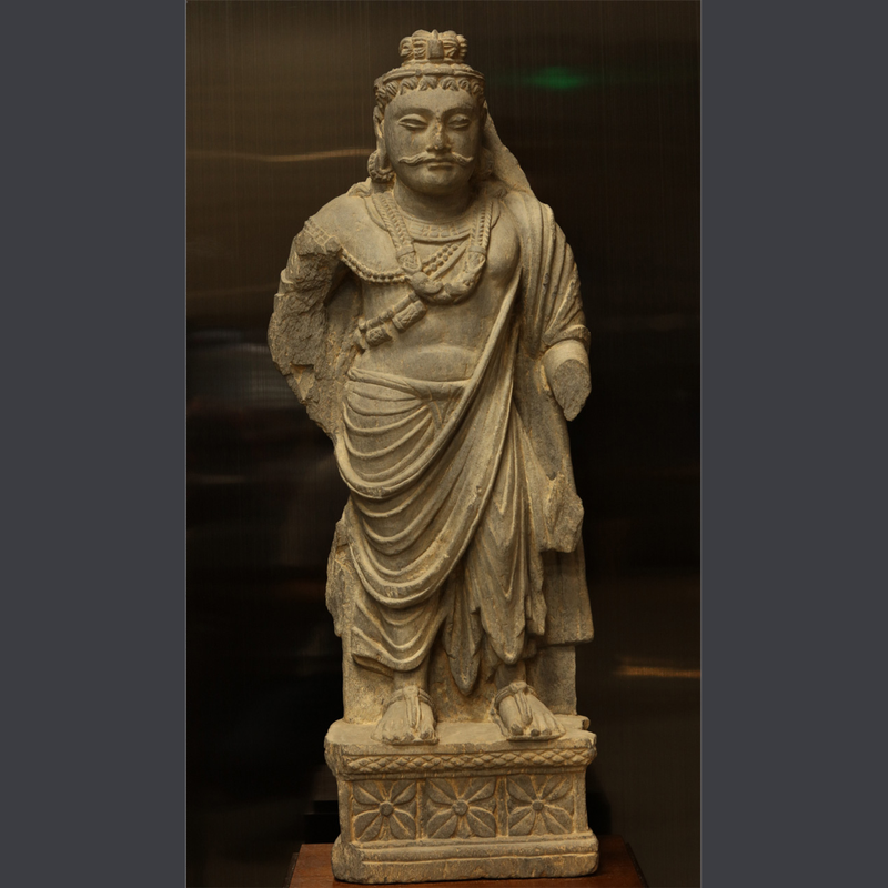 当宇宙风暴遇上神秘生物｜揭秘灾厄西伯利亚毗湿奴坐骑的宇宙密码