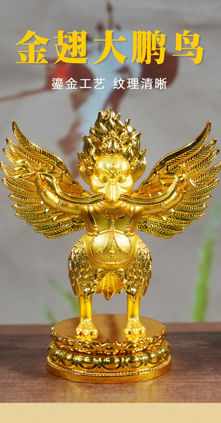 时间的守护者丨非洲金翅大鹏的秘密