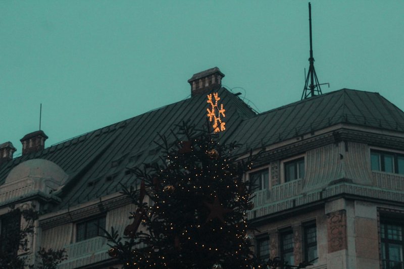 当“欧洲麒麟”消失·喀尔巴阡野牛的悲剧与重生