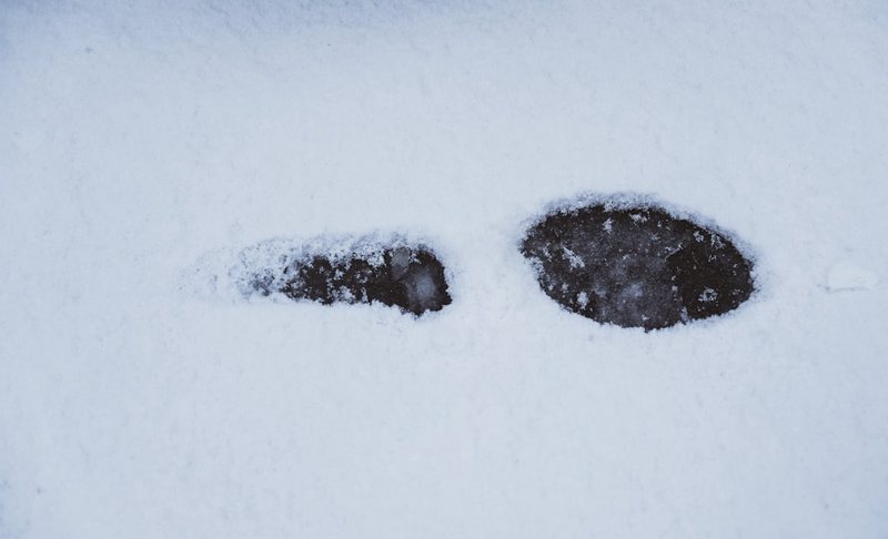 在雪线边缘，我遇见了纸人偶的双重影子？