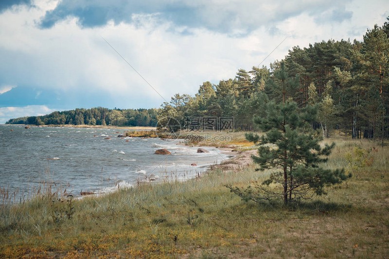 阿加森在波罗的海丨一次冒险与发现的旅程