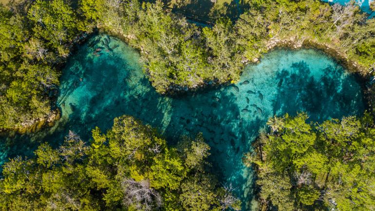 军方神秘记录—佛罗里达海峡的第五类接触