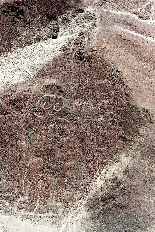 在风沙中诉说的古老秘密：戈壁纳斯卡线条的奇迹与谜团