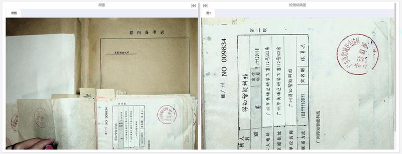 金字塔下的秘密·空白户籍的迷雾