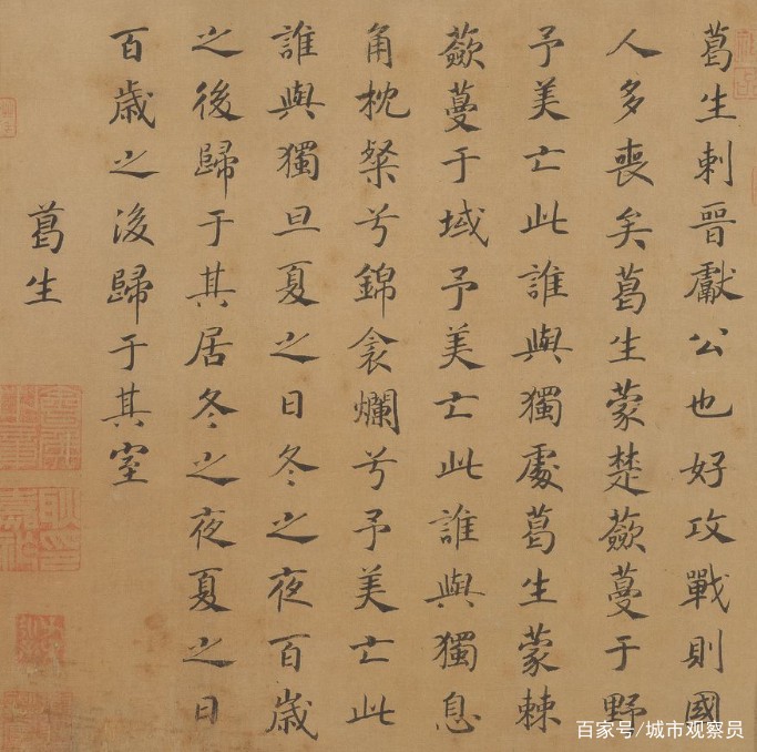在时间的长河里，一株花的等待？