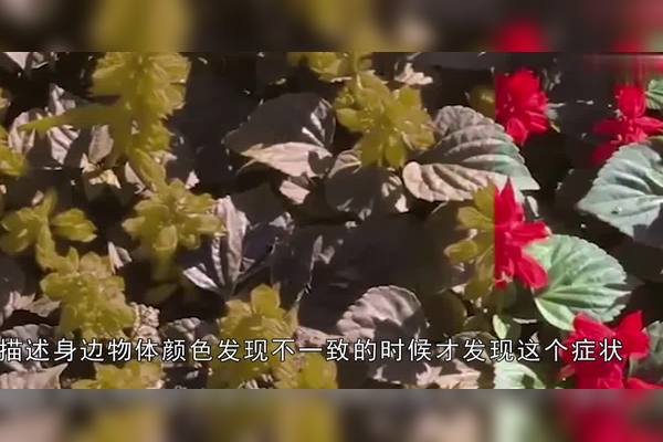 看不见的色彩—色盲的故事 看不见的色彩—色盲的故事