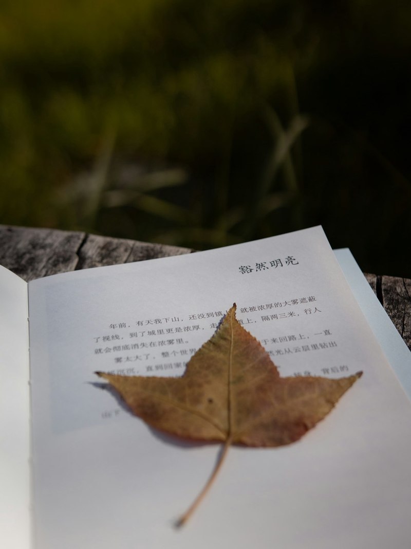 墨香深处—编辑部里的不眠夜