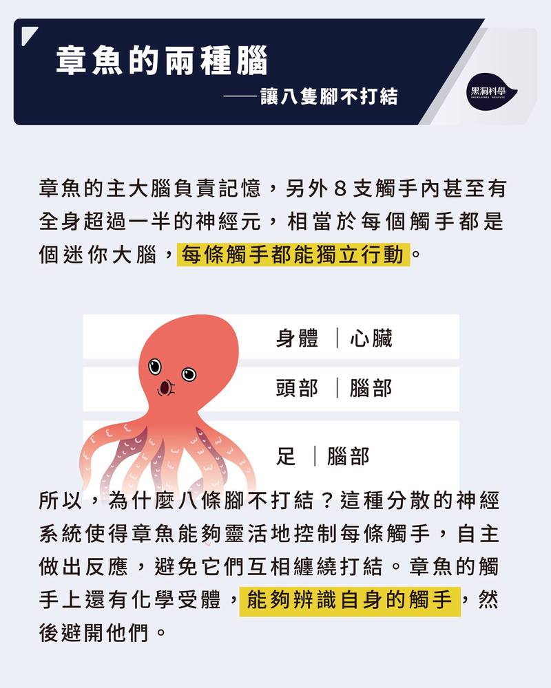 海蚀洞里的冻结怀表丨雨鱼与时间的对话