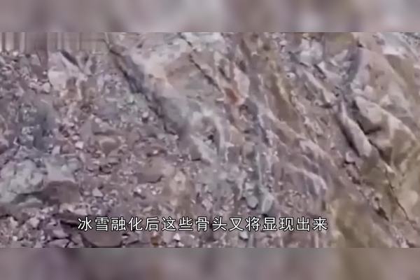 穿越时空的呼唤—喜马拉雅水下光环石像残件的神秘面纱